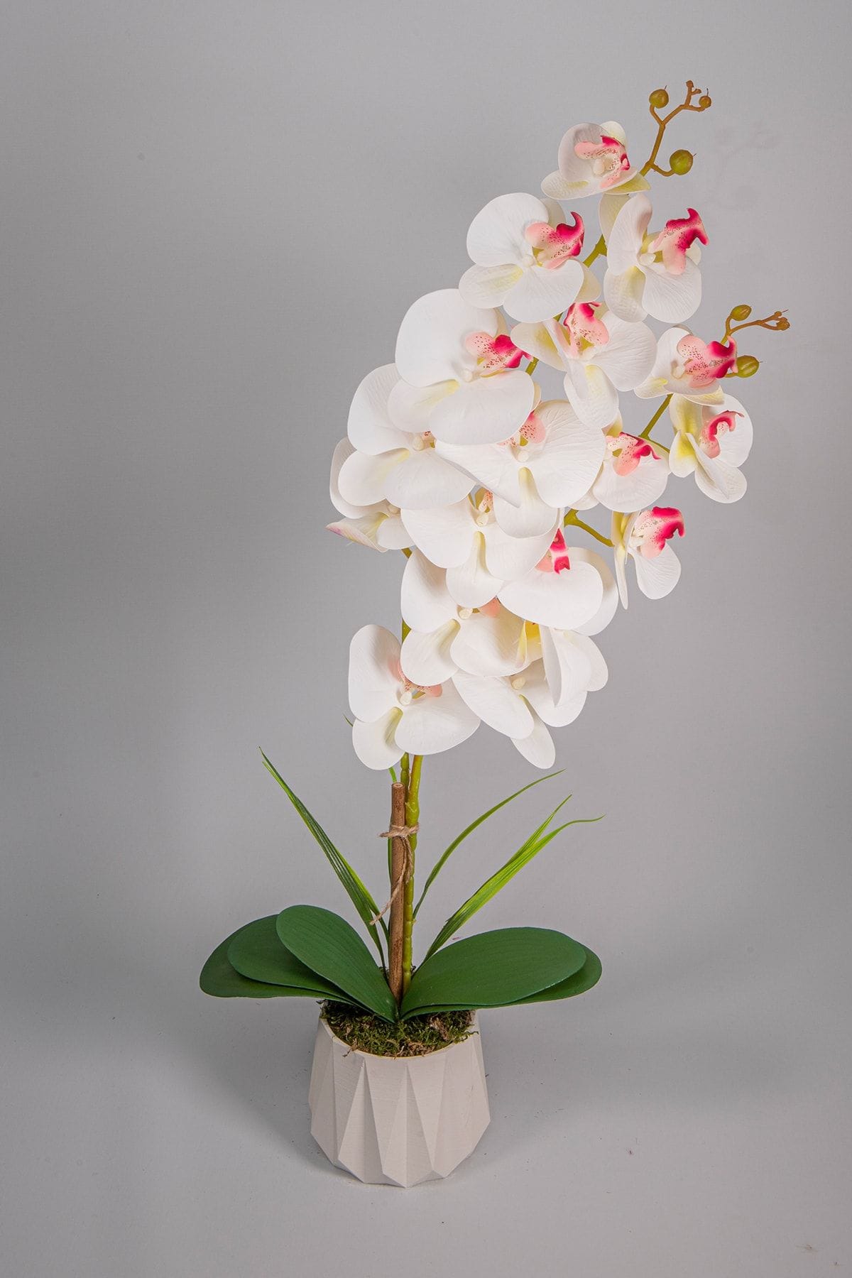 seramik-saksida-2-dal-yapay-islak-orkide-1844.jpg Seramik Saksıda 2 Dal Yapay Islak Orkide - Görsel 2