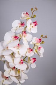 Seramik Saksıda 2 Dal Yapay Islak Orkide - Görsel 3