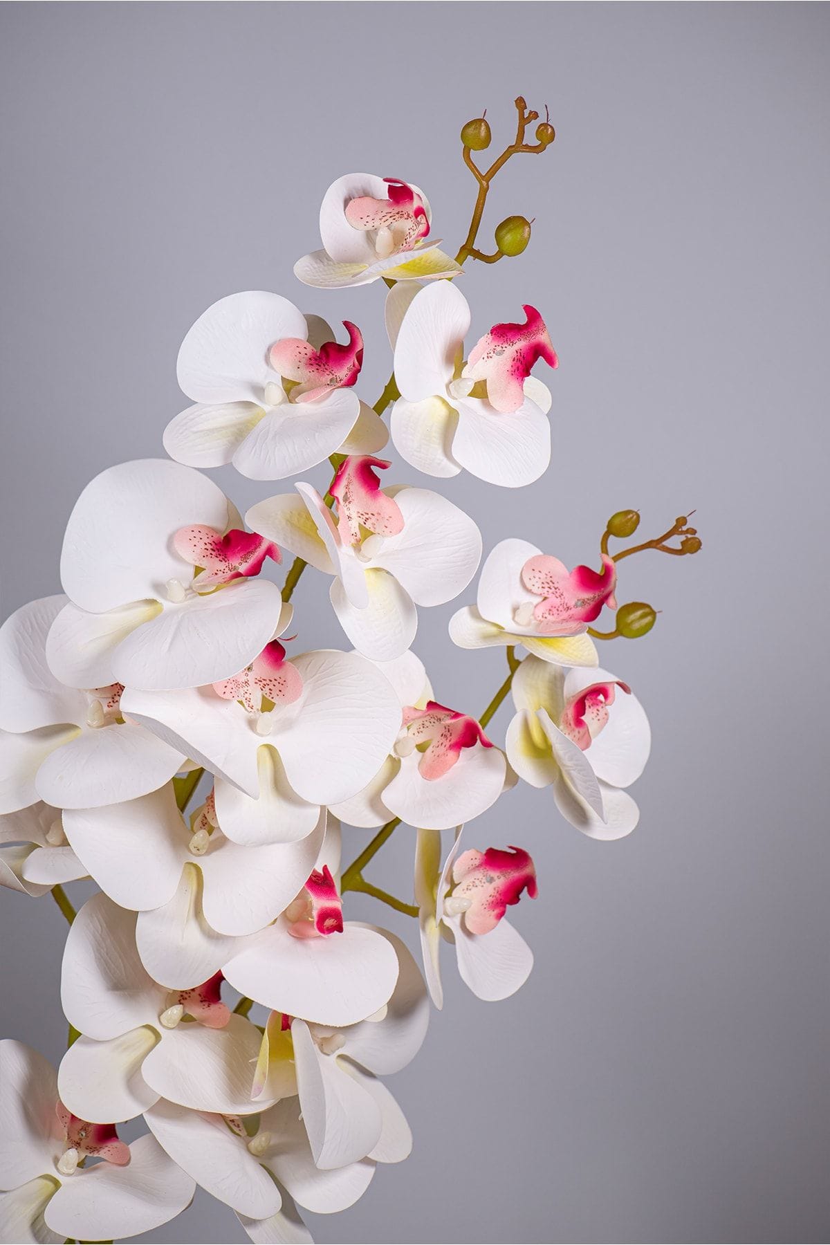 seramik-saksida-2-dal-yapay-islak-orkide-1845.jpg Seramik Saksıda 2 Dal Yapay Islak Orkide - Görsel 3