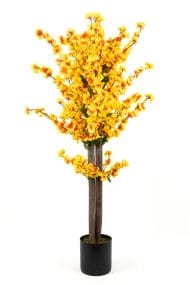 Siyah Saksıda Turuncu Sarı Renkli 120 cm Japon Bahardalı Ağacı - Görsel 2