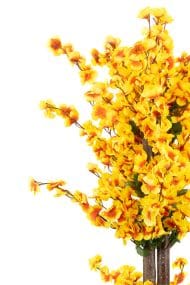 Siyah Saksıda Turuncu Sarı Renkli 120 cm Japon Bahardalı Ağacı - Görsel 3