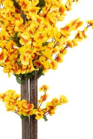 Siyah Saksıda Turuncu Sarı Renkli 120 cm Japon Bahardalı Ağacı - Görsel 4