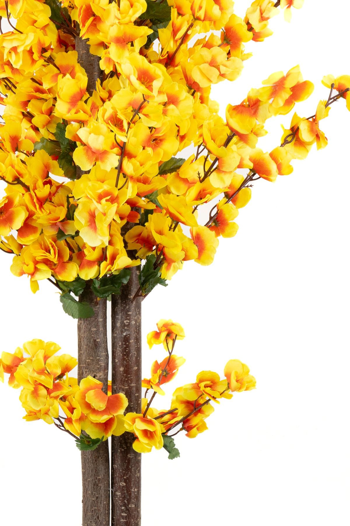 siyah-saksida-turuncu-sari-renkli-120-cm-japon-bahardali-agaci-1251.jpg Siyah Saksıda Turuncu Sarı Renkli 120 cm Japon Bahardalı Ağacı - Görsel 4