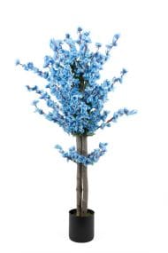 Siyah Saksıda Turuncu Sarı Renkli 120 cm Japon Bahardalı Ağacı - Görsel 5