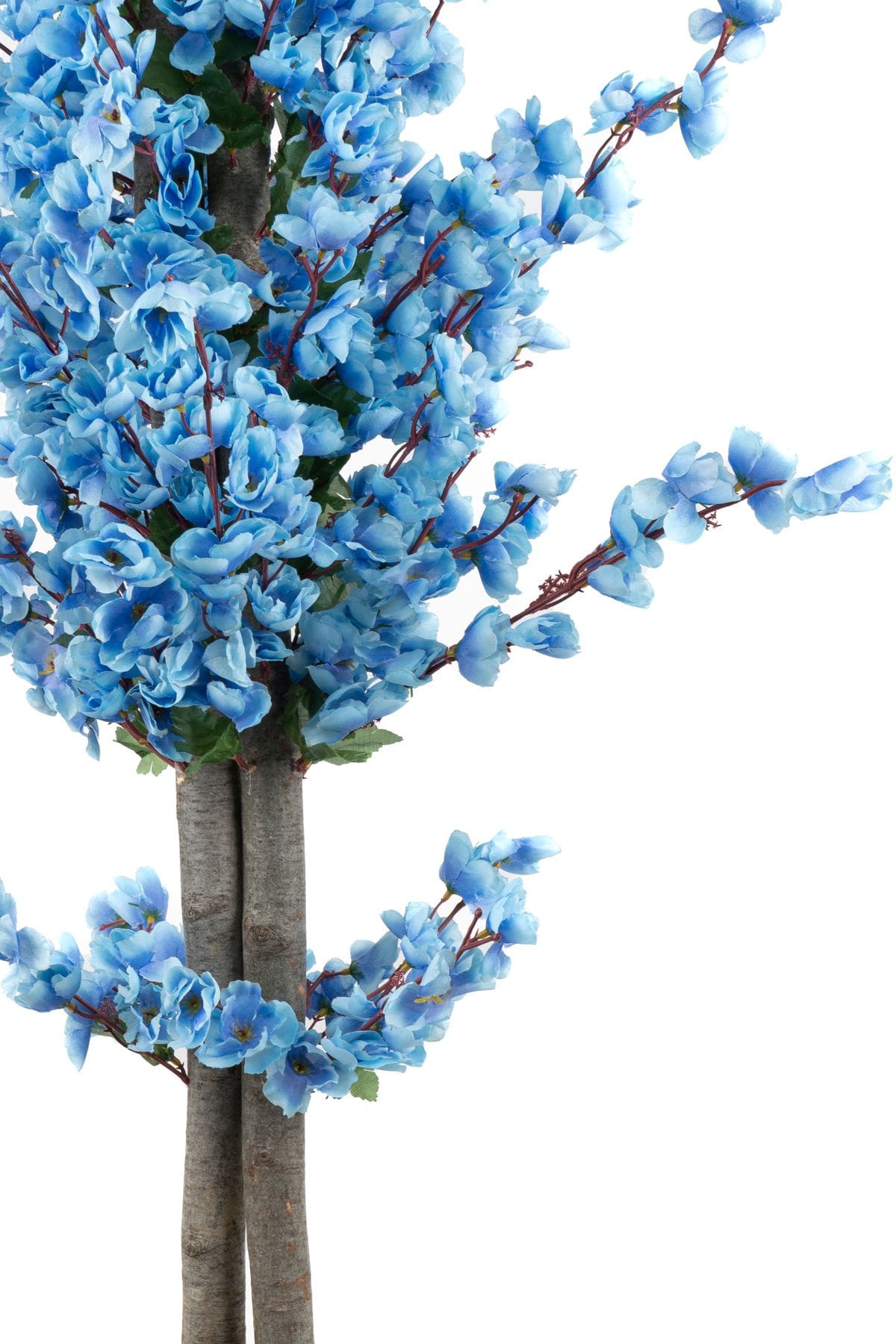 siyah-saksida-turuncu-sari-renkli-120-cm-japon-bahardali-agaci-1254.jpg Siyah Saksıda Turuncu Sarı Renkli 120 cm Japon Bahardalı Ağacı - Görsel 7