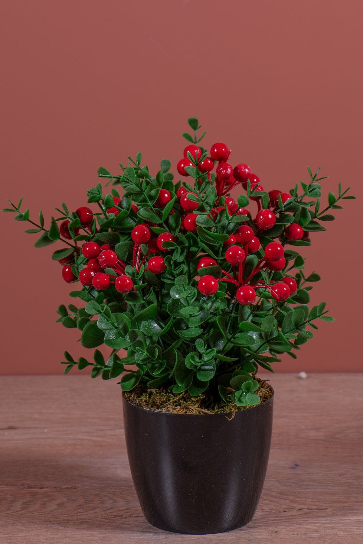 siyah-saksida-yapay-kokina-agaci-1609.jpg Siyah Saksıda Yapay Kokina Ağacı - Görsel 1