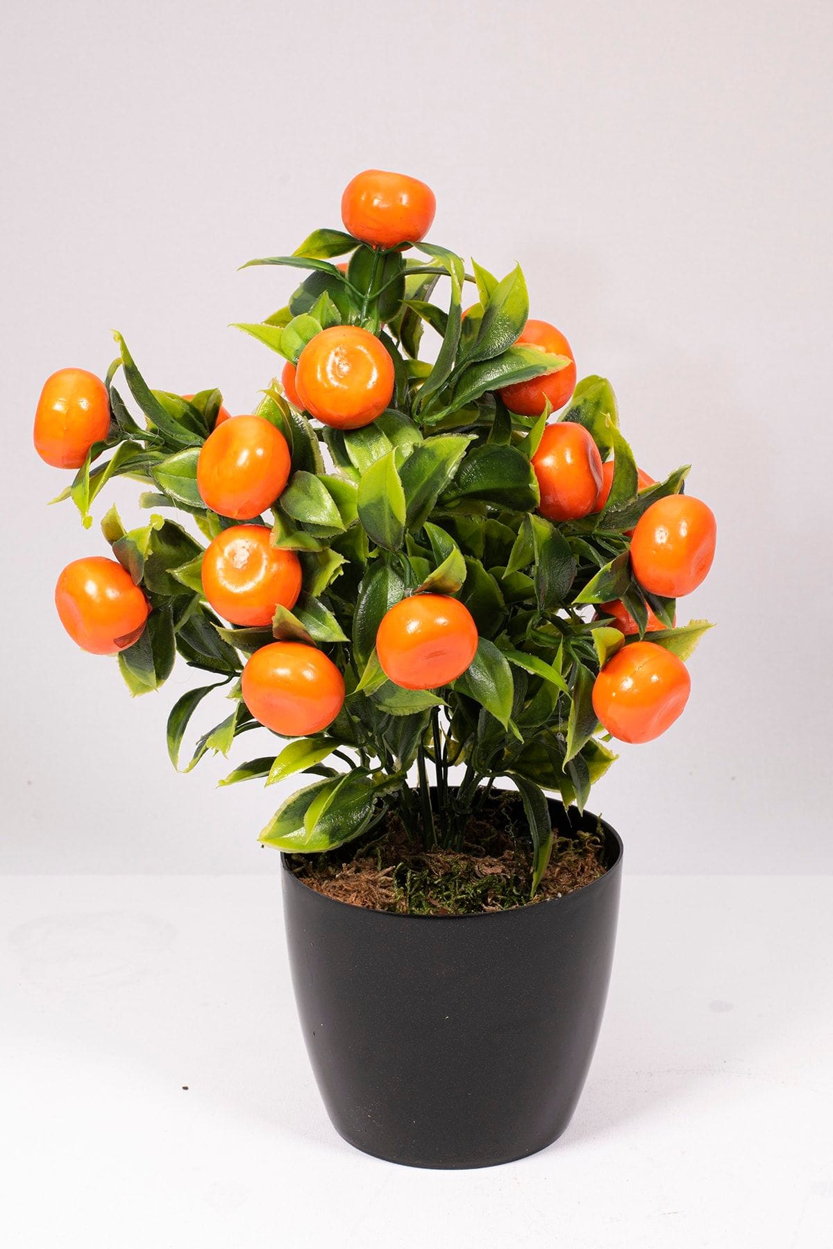 siyah-saksida-yapay-mandalina-agaci-1597.jpg Siyah Saksıda Yapay Mandalina Ağacı - Görsel 1