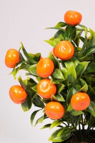 Siyah Saksıda Yapay Mandalina Ağacı - Görsel 2