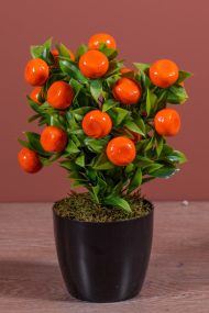 Siyah Saksıda Yapay Mandalina Ağacı - Görsel 3