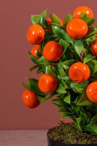 Siyah Saksıda Yapay Mandalina Ağacı - Görsel 4