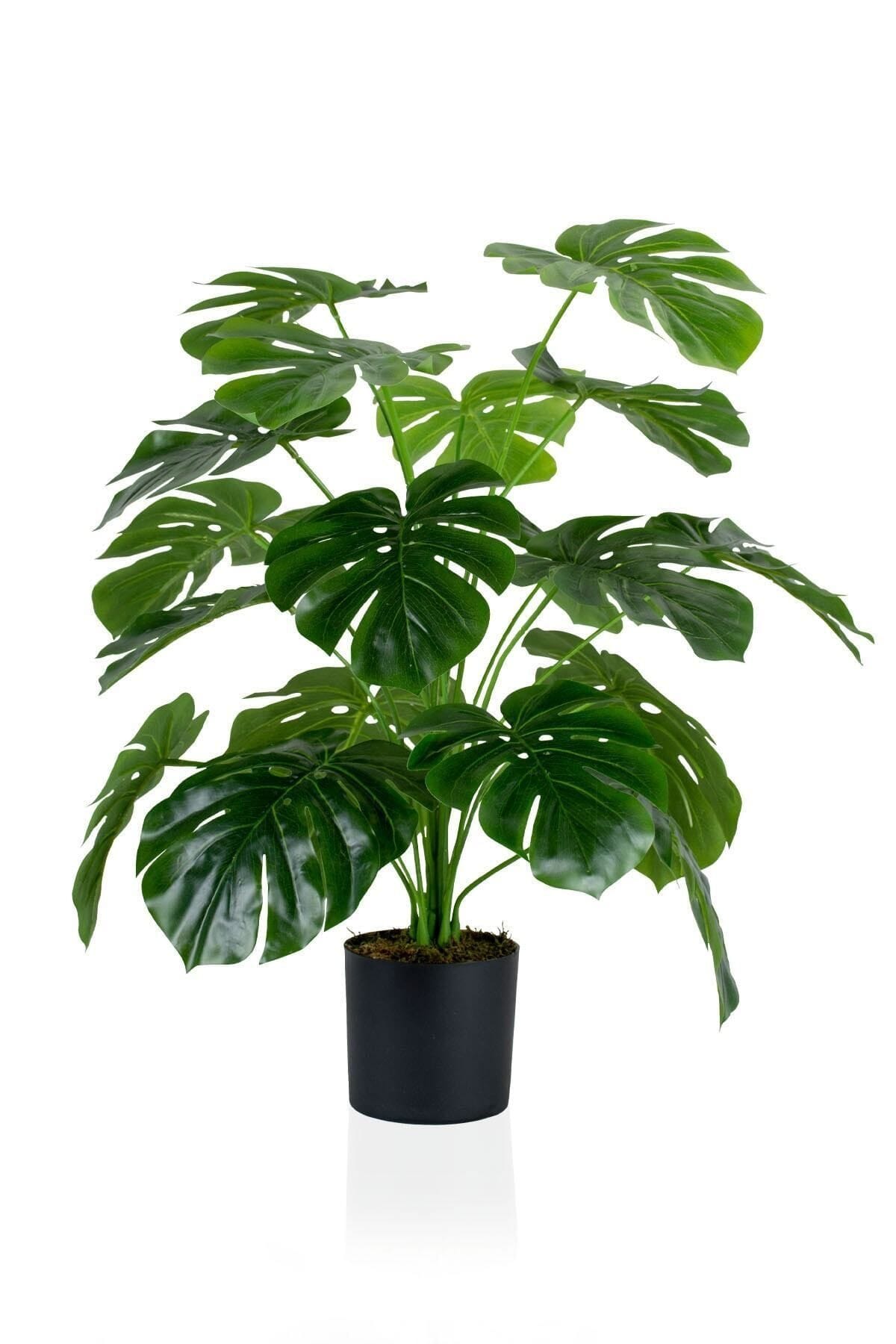siyah-saksida-yapay-monstera-agaci-2011.jpg Siyah Saksıda Yapay Monstera Ağacı - Görsel 1