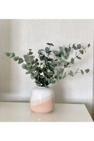 Şoklanmış Büyük Okaliptus Demeti - Görsel 2