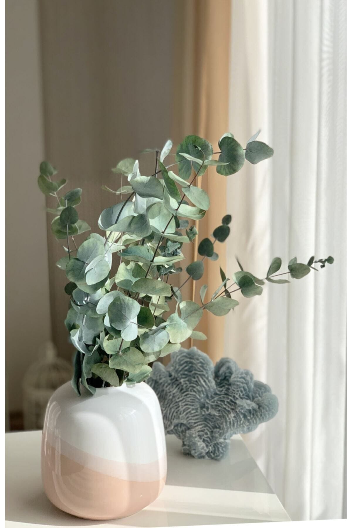 soklanmis-buyuk-okaliptus-demeti-1760.jpg Şoklanmış Büyük Okaliptus Demeti - Görsel 3