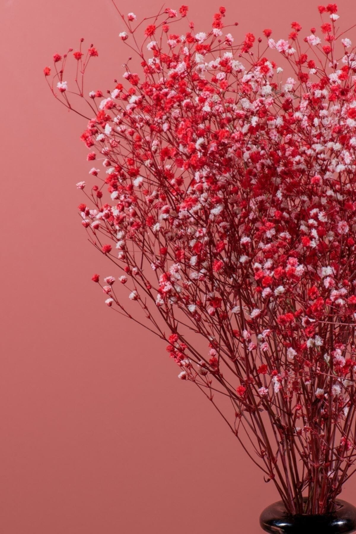 soklanmis-cipso-demeti-kirmizi-1583.jpg Şoklanmış Cipso Demeti Kırmızı - Görsel 1