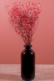 Şoklanmış Cipso Demeti Kırmızı - Görsel 2