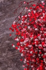 Şoklanmış Cipso Demeti Kırmızı - Görsel 3