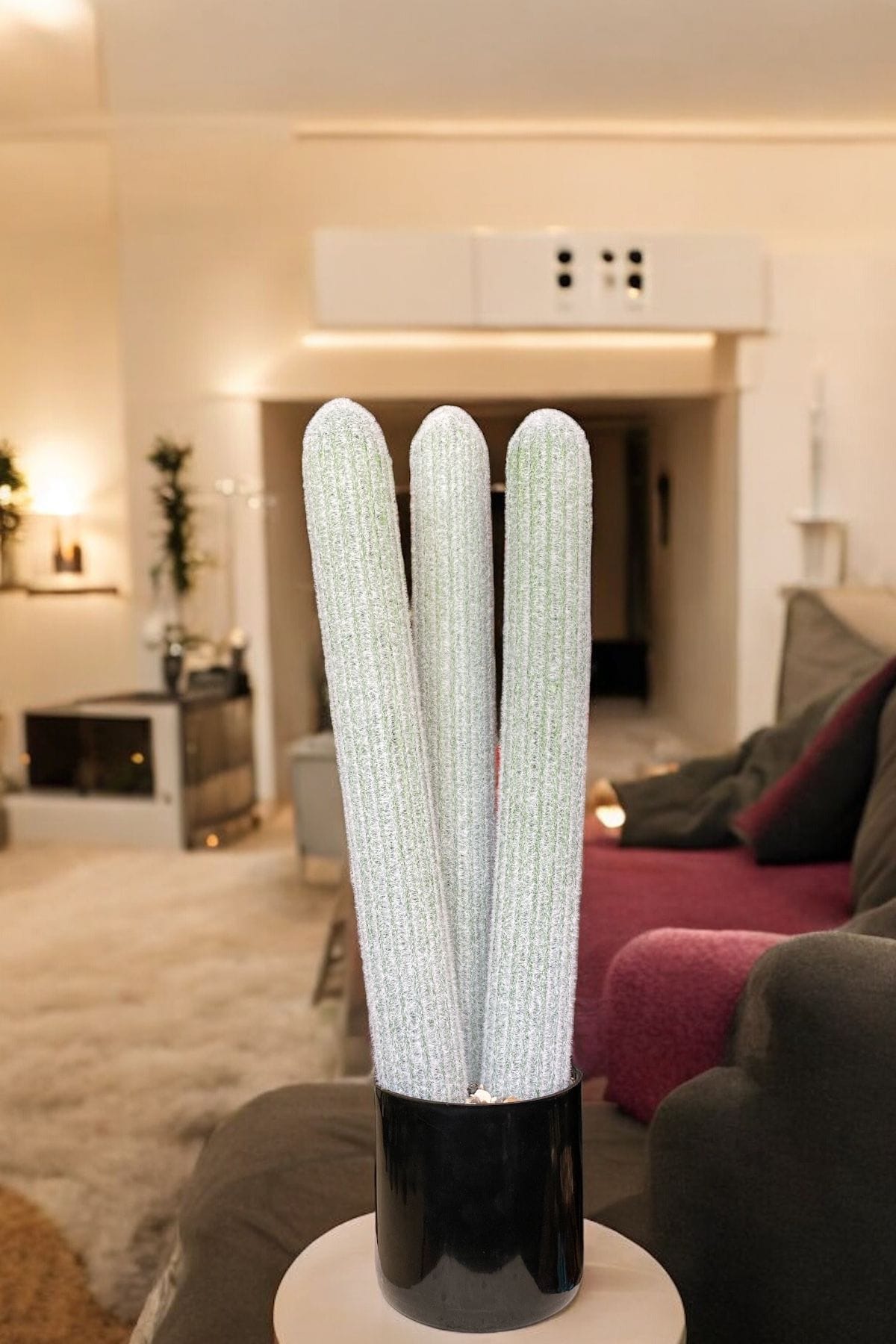 tas-detayli-siyah-saksida-3-govdeli-gercek-dokulu-yapay-sukulent-kaktus-agaci-1256.jpg Taş Detaylı Siyah Saksıda 3 Gövdeli Gerçek Dokulu Yapay Sukulent Kaktüs Ağacı - Görsel 1