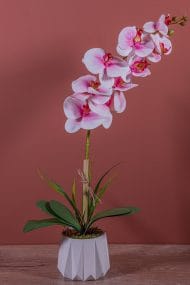 Tek Dal Yapay Islak Orkide
