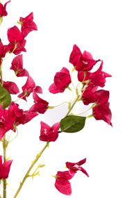 Uzun Dallı Yapay Begonvil Çiçeği - Görsel 10