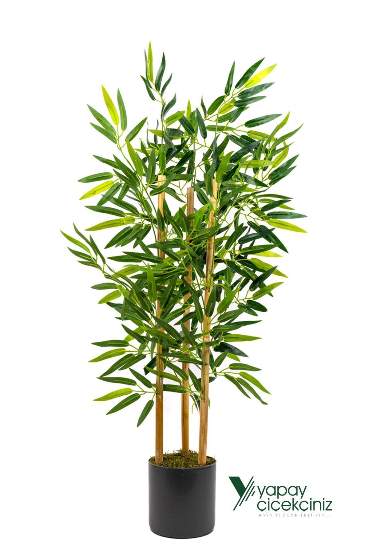 yapay-yogun-yaprakli-dekoratif-bambu-agaci-3-govde-100cm-1687.jpg Yapay Yoğun Yapraklı Dekoratif Bambu Ağacı 3 Gövde 100cm - Görsel 1