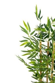 Yapay Yoğun Yapraklı Dekoratif Bambu Ağacı 3 Gövde 100cm - Görsel 6