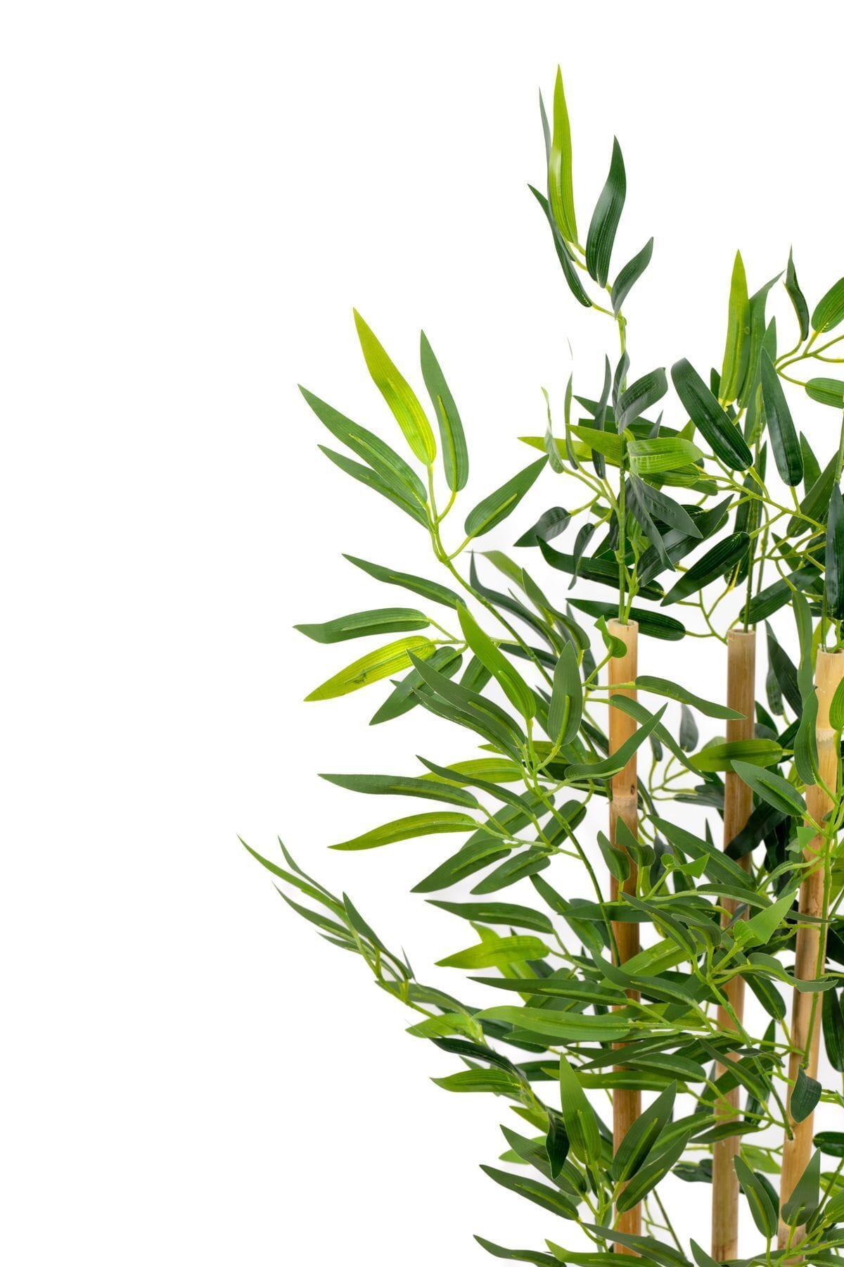 yapay-yogun-yaprakli-dekoratif-bambu-agaci-3-govde-100cm-1692.jpg Yapay Yoğun Yapraklı Dekoratif Bambu Ağacı 3 Gövde 100cm - Görsel 6