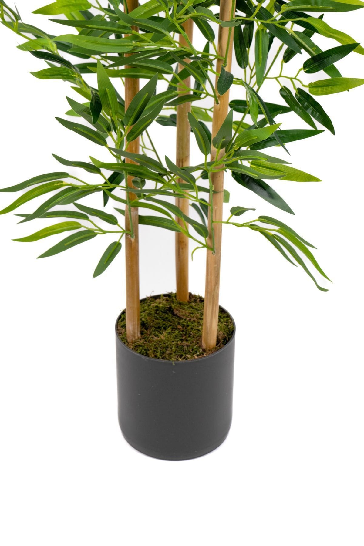 yapay-yogun-yaprakli-dekoratif-bambu-agaci-3-govde-100cm-1693.jpg Yapay Yoğun Yapraklı Dekoratif Bambu Ağacı 3 Gövde 100cm - Görsel 7