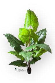 14 Büyük Yapraklı 180 cm Yapay Fil Kulağı Ağacı - Görsel 5