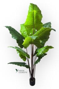 14 Büyük Yapraklı 180 cm Yapay Fil Kulağı Ağacı - Görsel 3