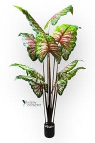 14 Büyük Yapraklı 180 cm Yapay Fil Kulağı Ağacı - Görsel 10