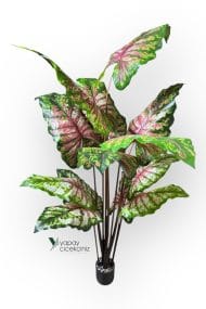 14 Büyük Yapraklı 180 cm Yapay Fil Kulağı Ağacı - Görsel 9