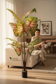 14 Büyük Yapraklı 180 cm Yapay Fil Kulağı Ağacı - Görsel 7